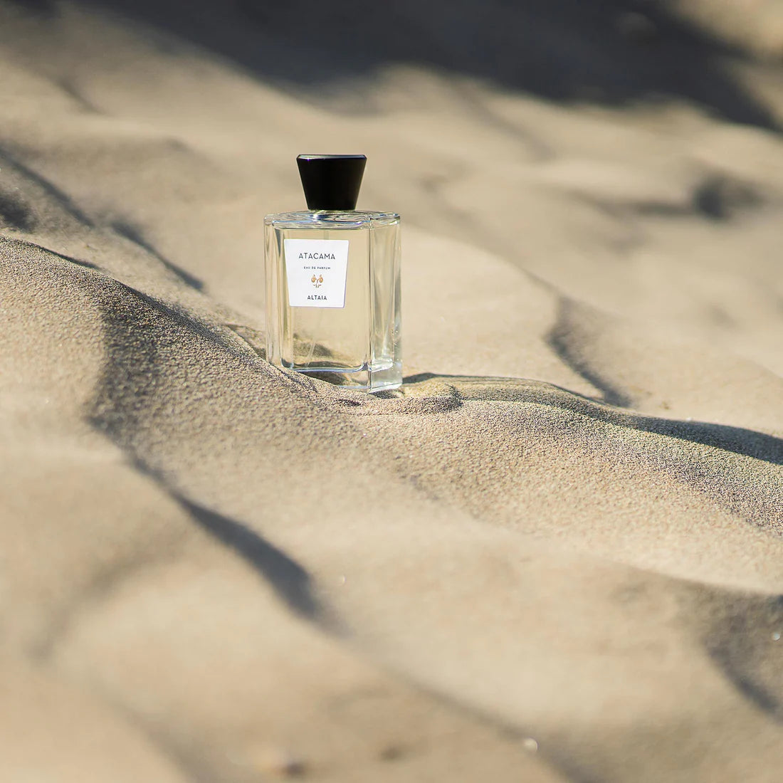 ALTAIA Atacama Eau de Parfum 3.4 fl oz