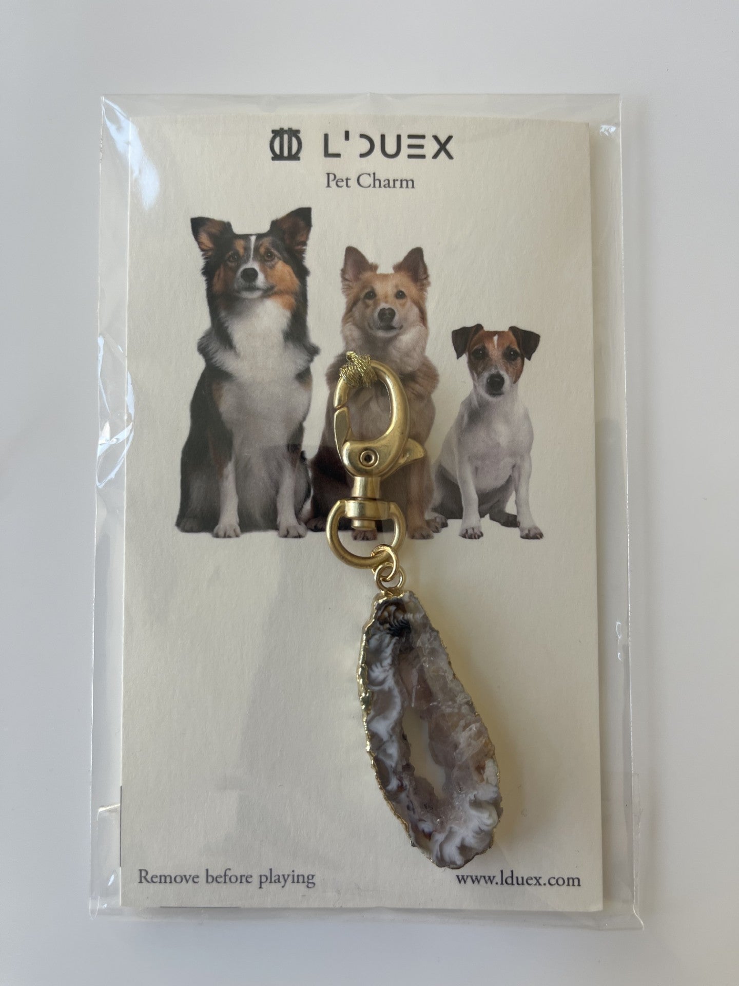 Pet charm