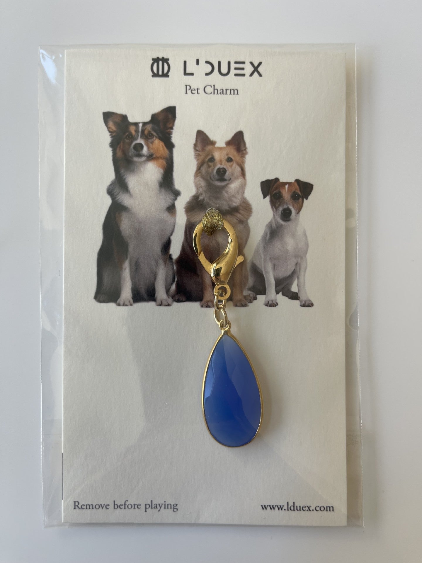 Pet charm
