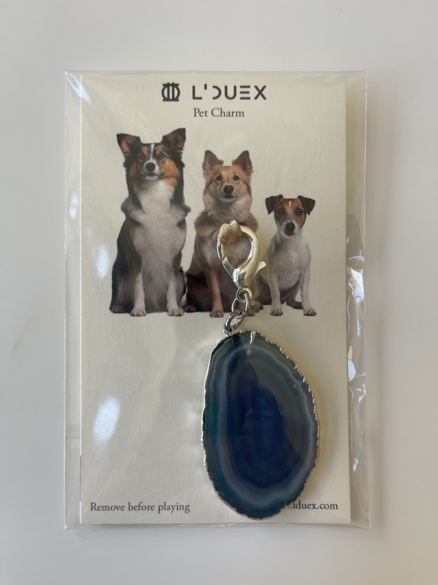 Pet charm