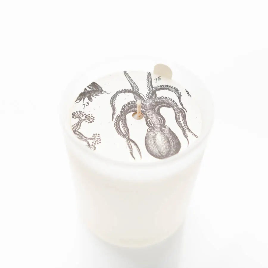 Formulary 55 Sea Salt & Lavendar Glass Candle CureDeRepos