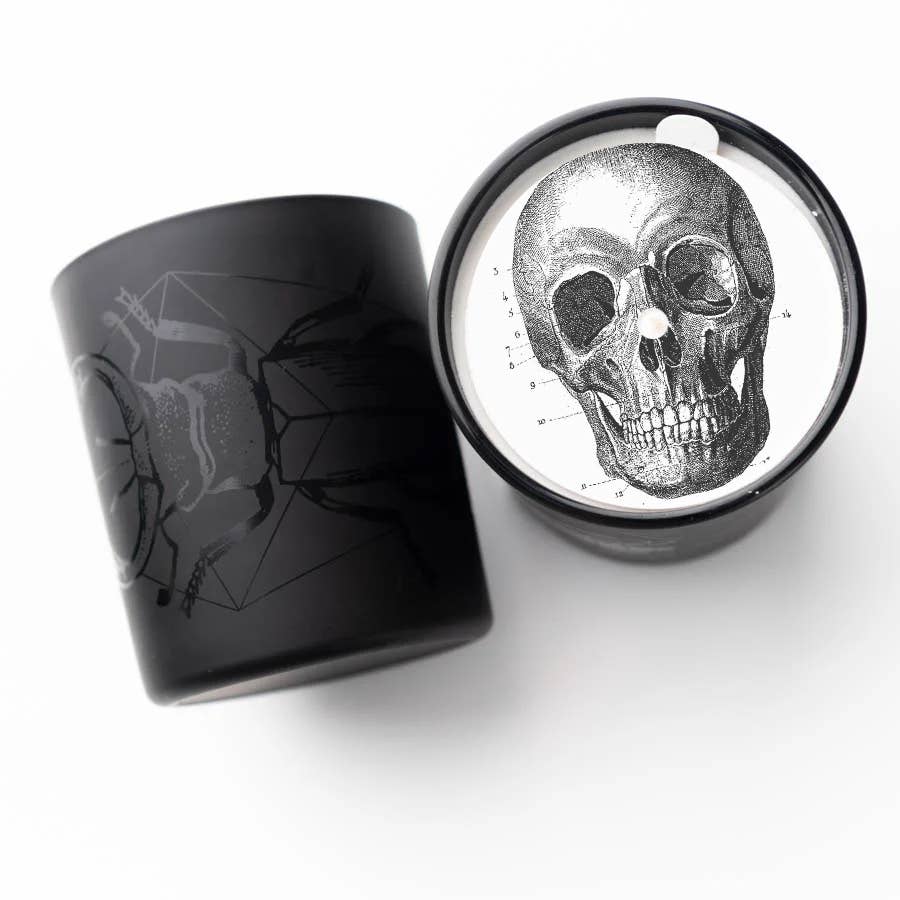 NEW La Nuit in Beetle Etched 11oz Candle